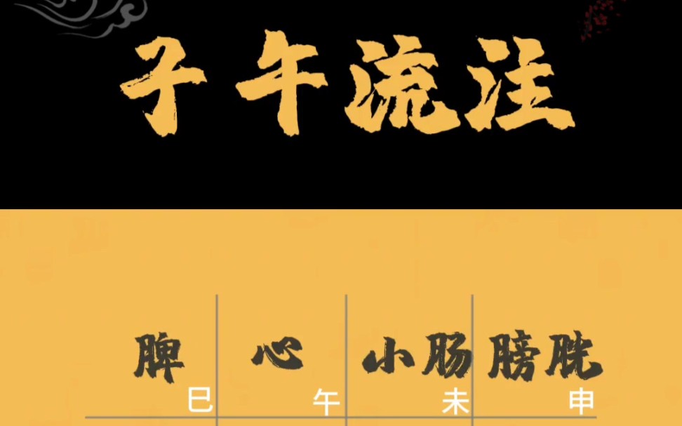 紫微斗数之子午流注,对应的身体部位是哪些你知道吗哔哩哔哩bilibili