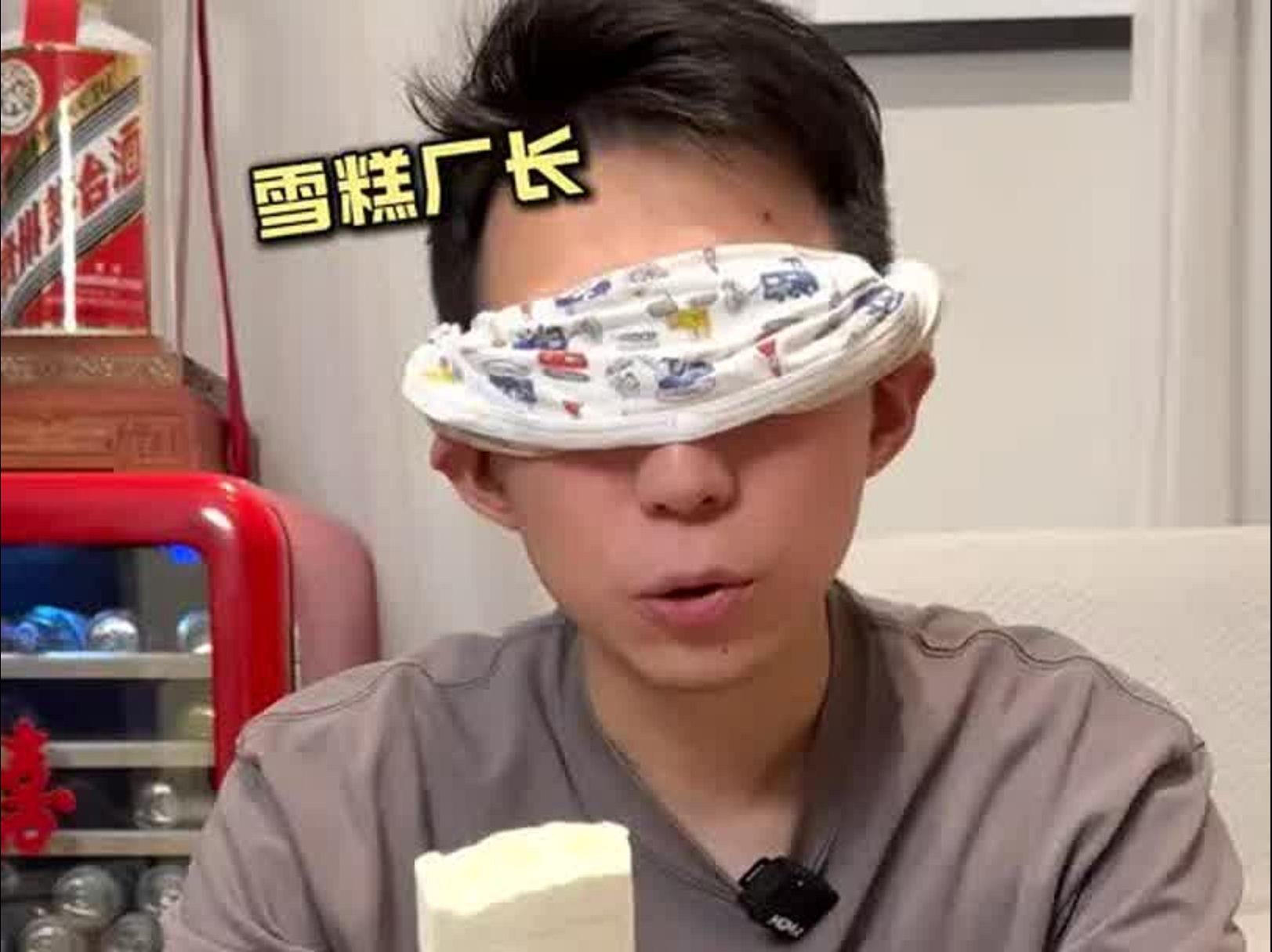 你们喜欢哪个,美斯霖雪糕盲测雪糕测评