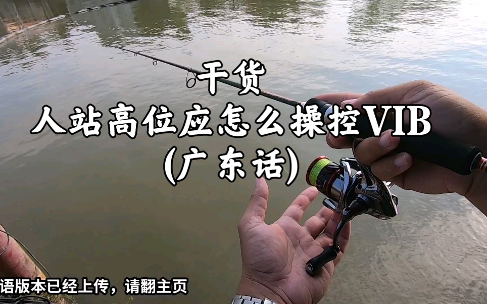 VIB的操控手法哔哩哔哩bilibili