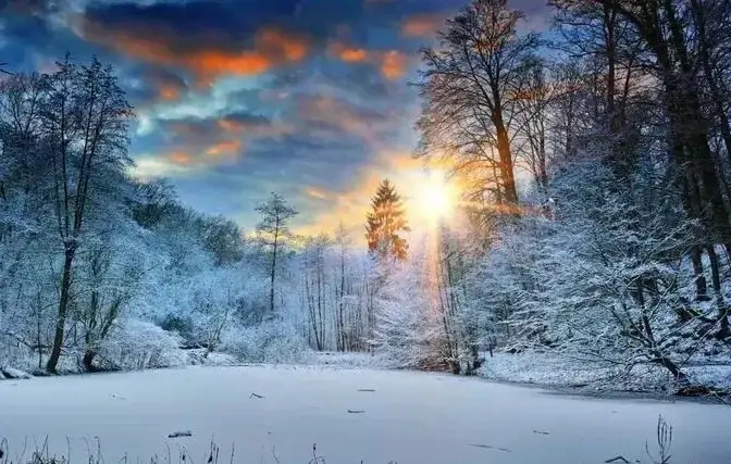 冬雪飘落,人间仙境