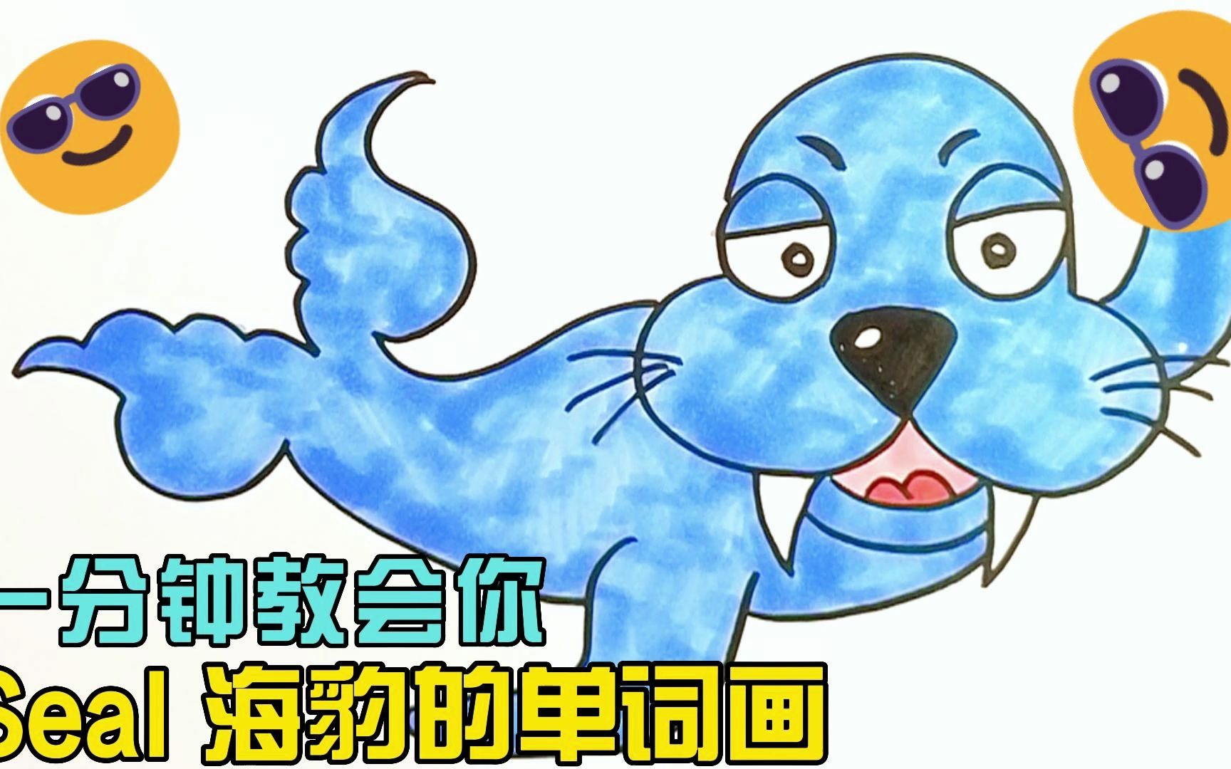 一分钟教会你seal海豹的单词画