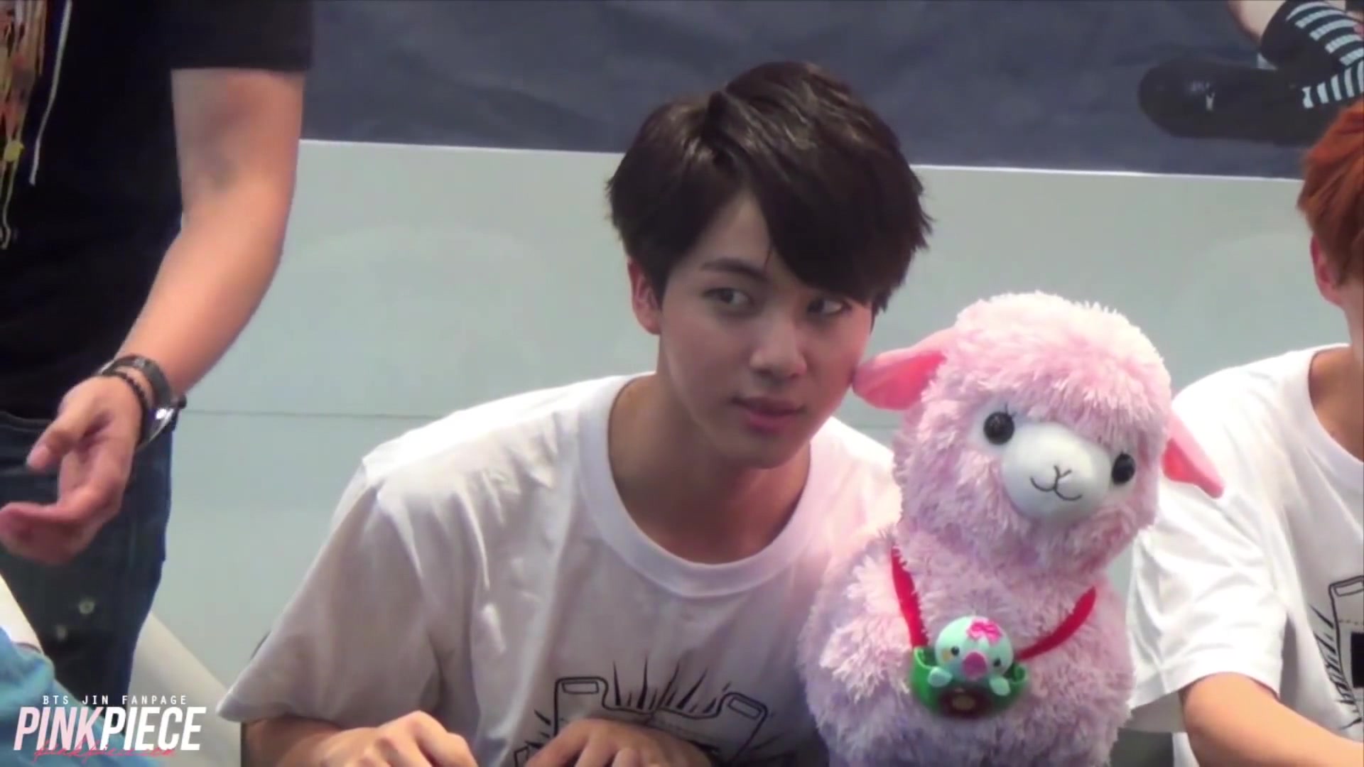 【防弹少年团】金硕珍的羊驼使用法【中字】