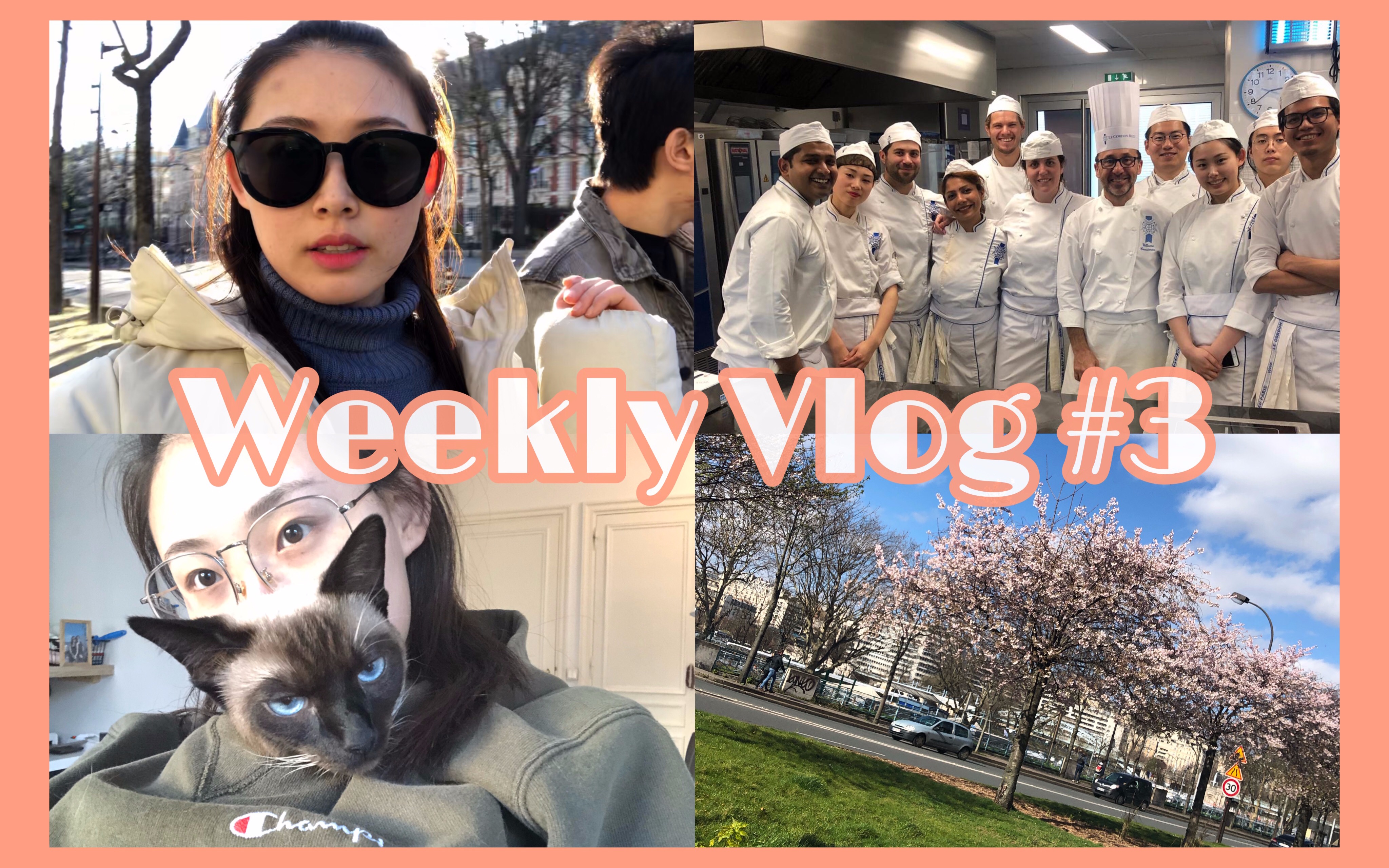 Weekly vlog #3 巴黎蓝带西餐中级最后一周课啦 I 又一次经历法国“黄马甲” I 送可乐去当了公公 I 看看我每天都吃了什么吧哔哩哔哩bilibili