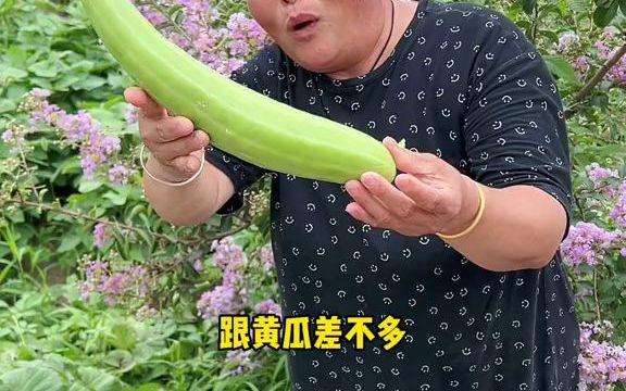 什么叫骚瓜哔哩哔哩bilibili