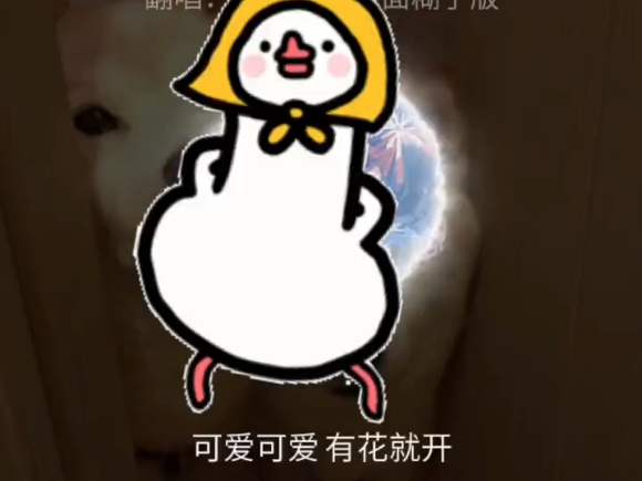 纯妹妹哔哩哔哩bilibili