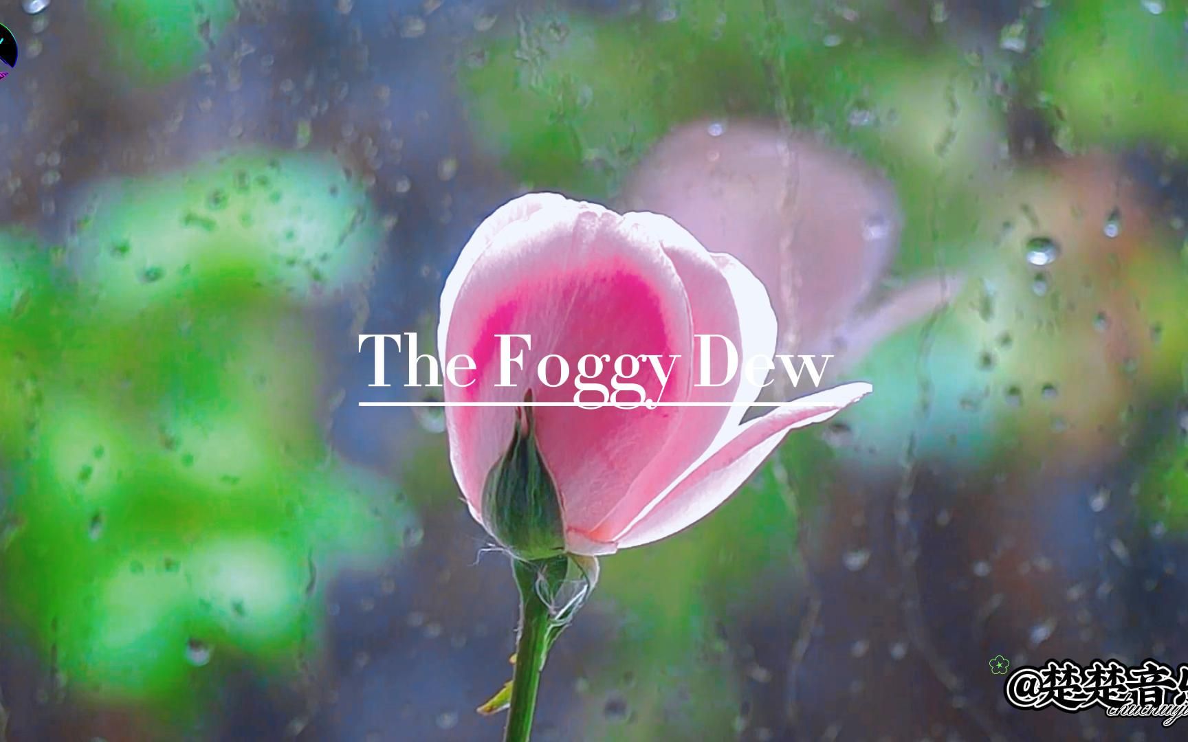 [图]班得瑞顶级治愈纯音乐《TheFoggyDew》，终于挖到了！