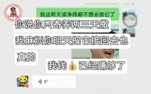 下载视频: 【比格犬】把狗放在宠物店寄养，老板哭着求我把狗接回去，说不想挣我的钱了