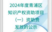 关于2024年度青浦区知识产权资助项目(一)资助费发放的公示哔哩哔哩bilibili