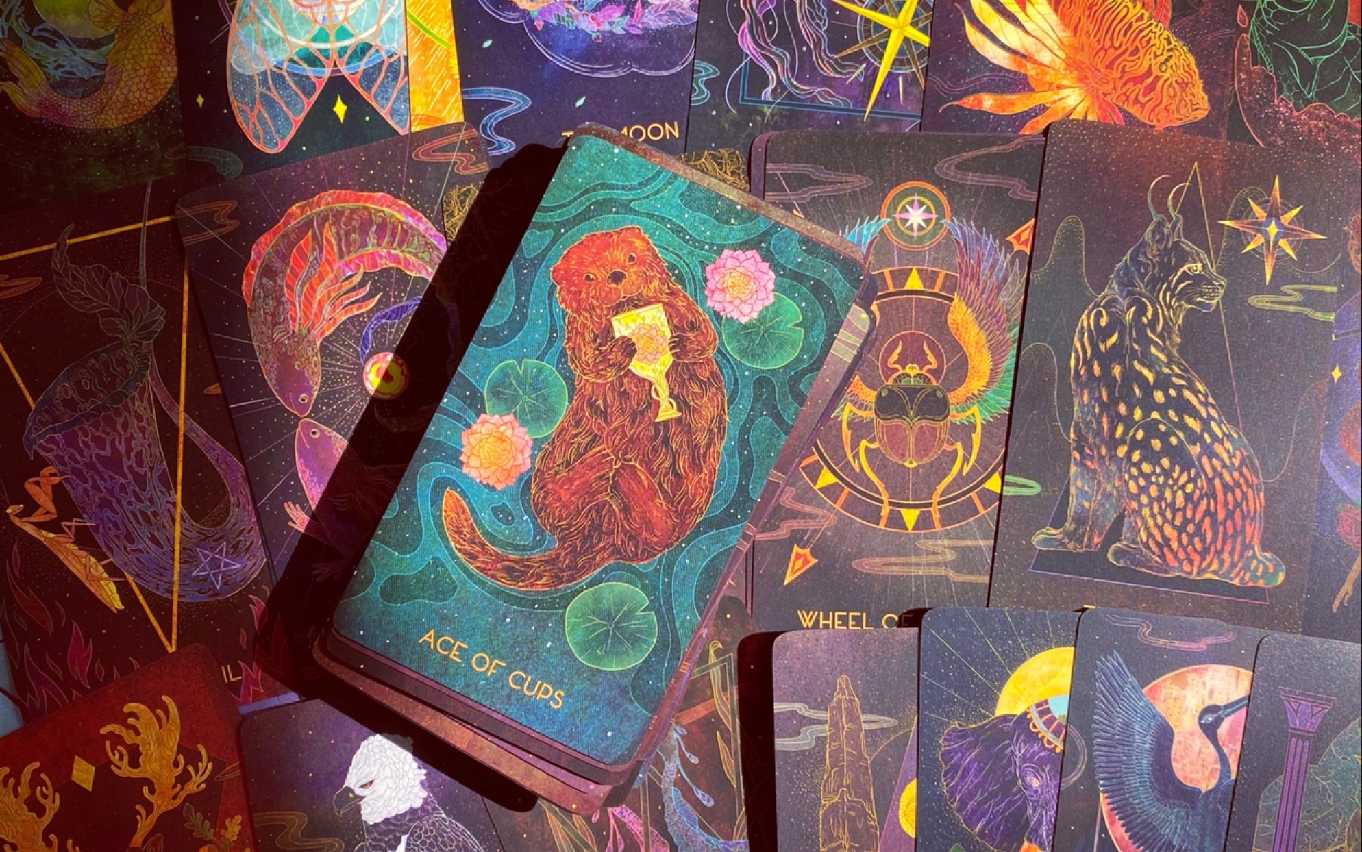 塔罗牌开箱——黎明之星