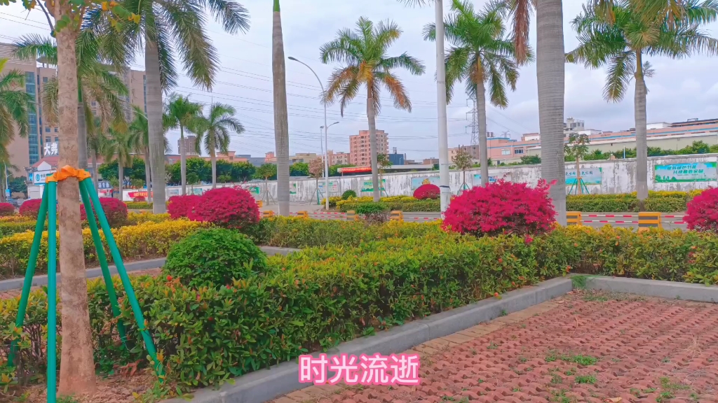 上沙体育公园图片