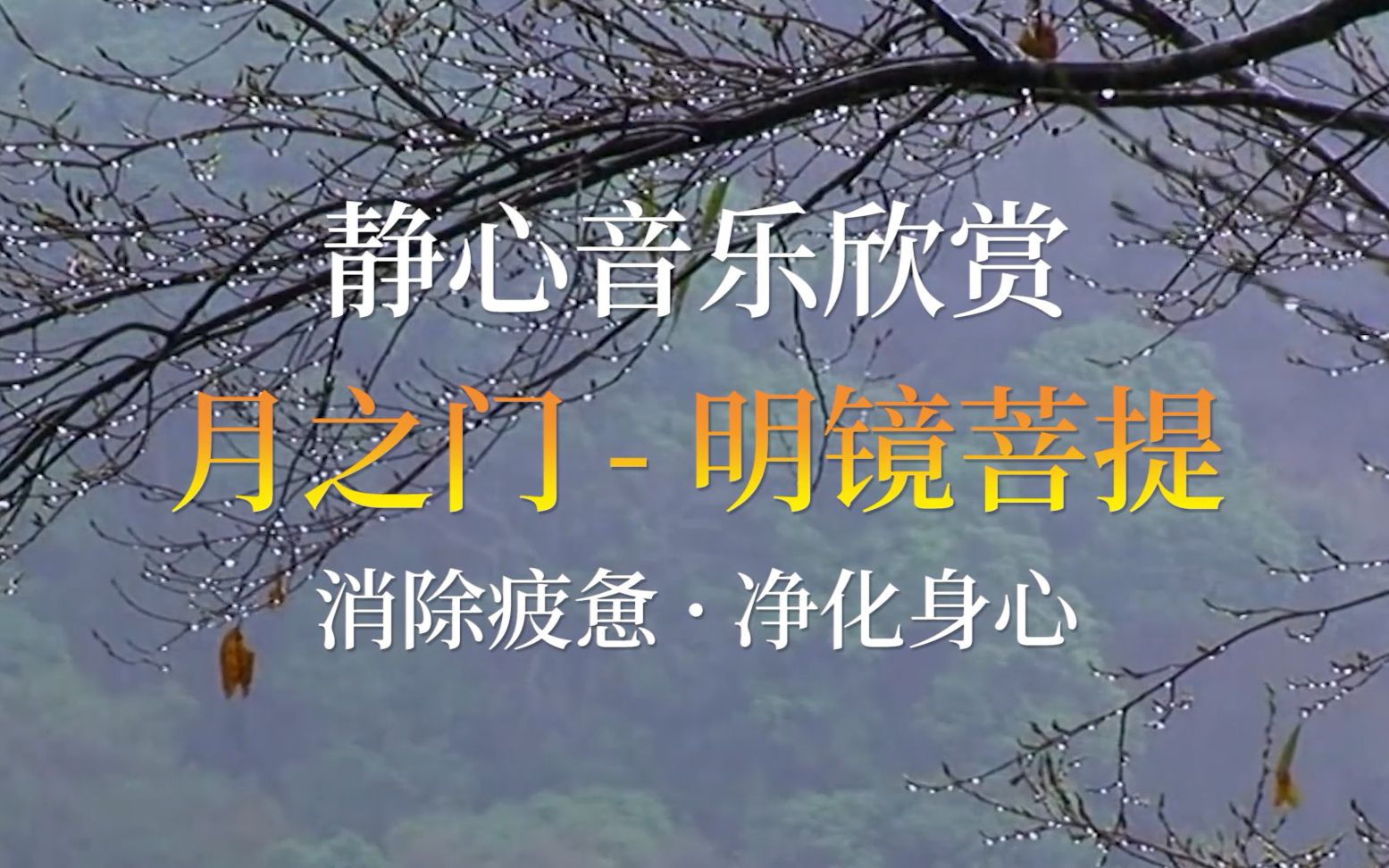 明镜菩提-古典轻音乐,安神静心,充满禅意,清透心扉,涤荡心灵_哔哩哔哩