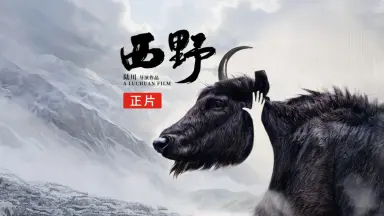 西野-哔哩哔哩_Bilibili