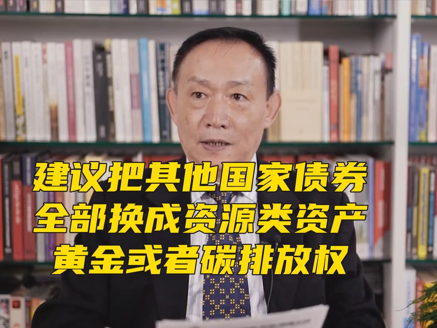 卢麒元:建议把其他国家债券换成资源类资产,黄金或者碳排放权-卢麒元的视角-卢麒元的视角-哔哩哔哩视频