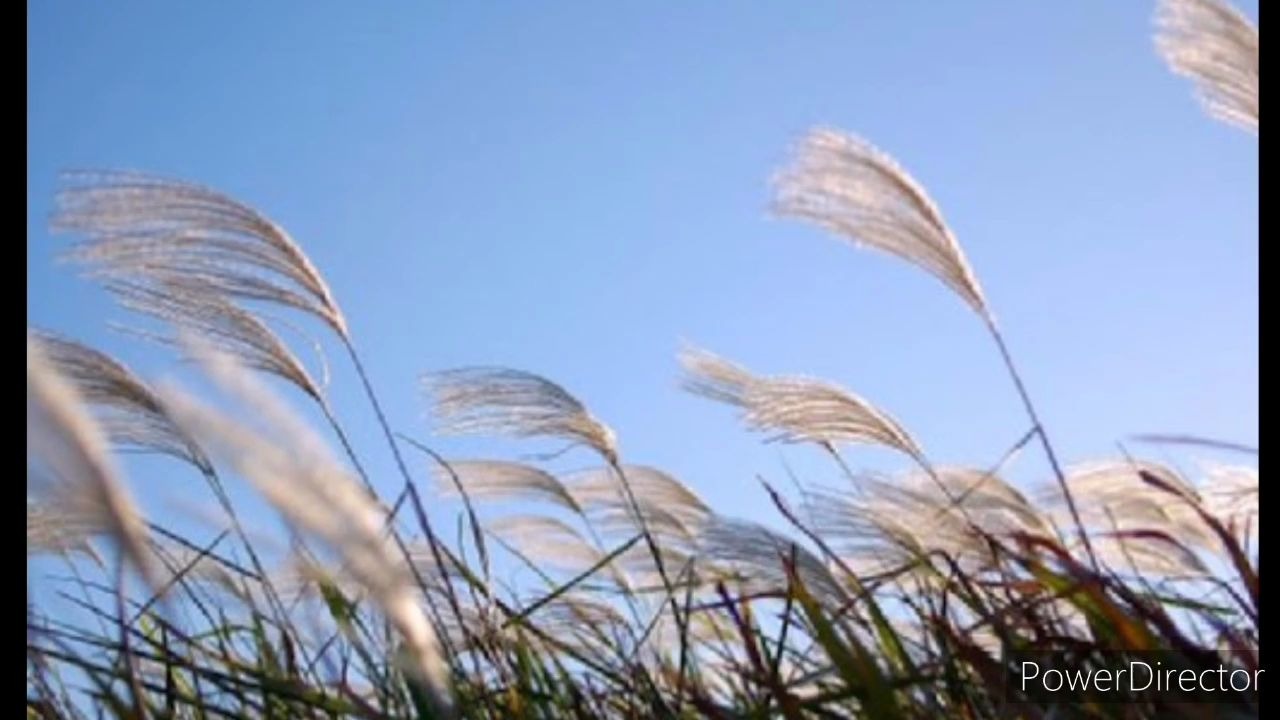 [管乐]wind 风 by darren w. jenkins