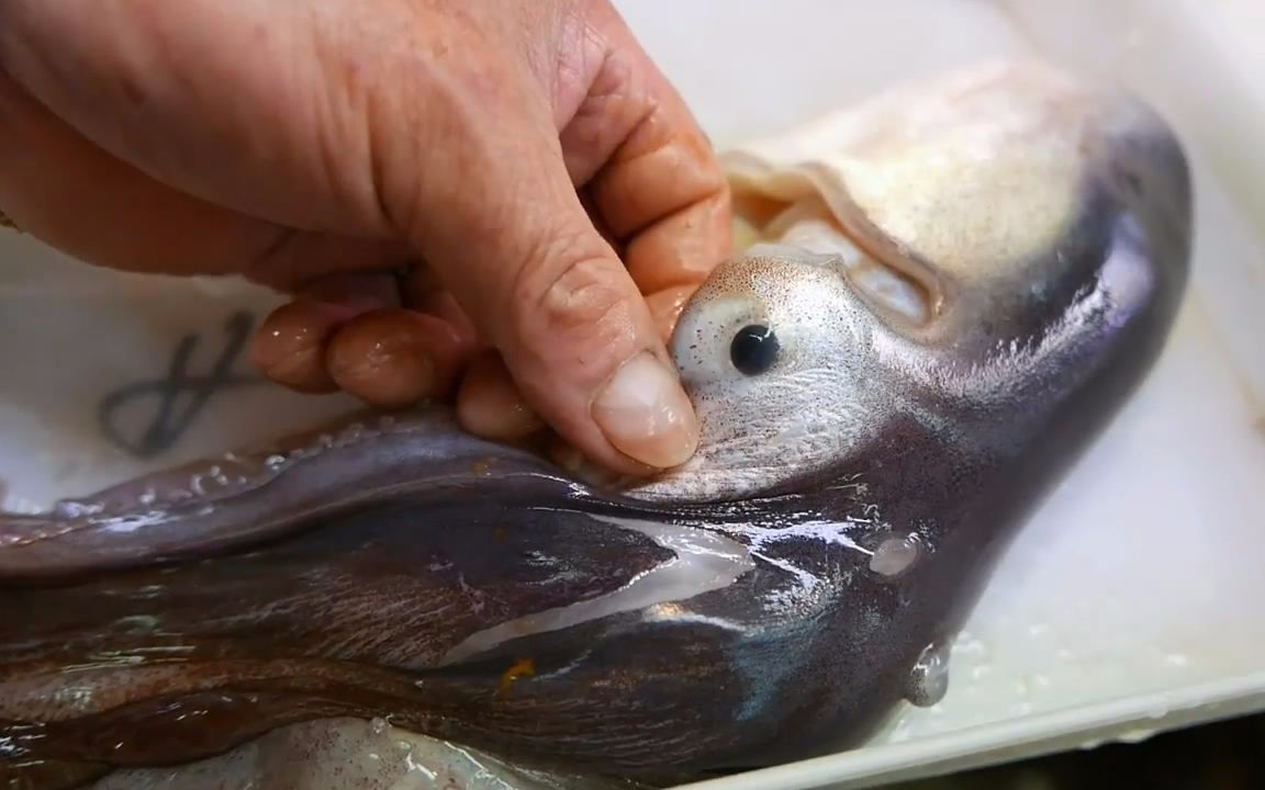【日本料理】冲绳海鲜:紫章鱼"要杀要吃求个痛快,你抠我眼睛干嘛?"_哔