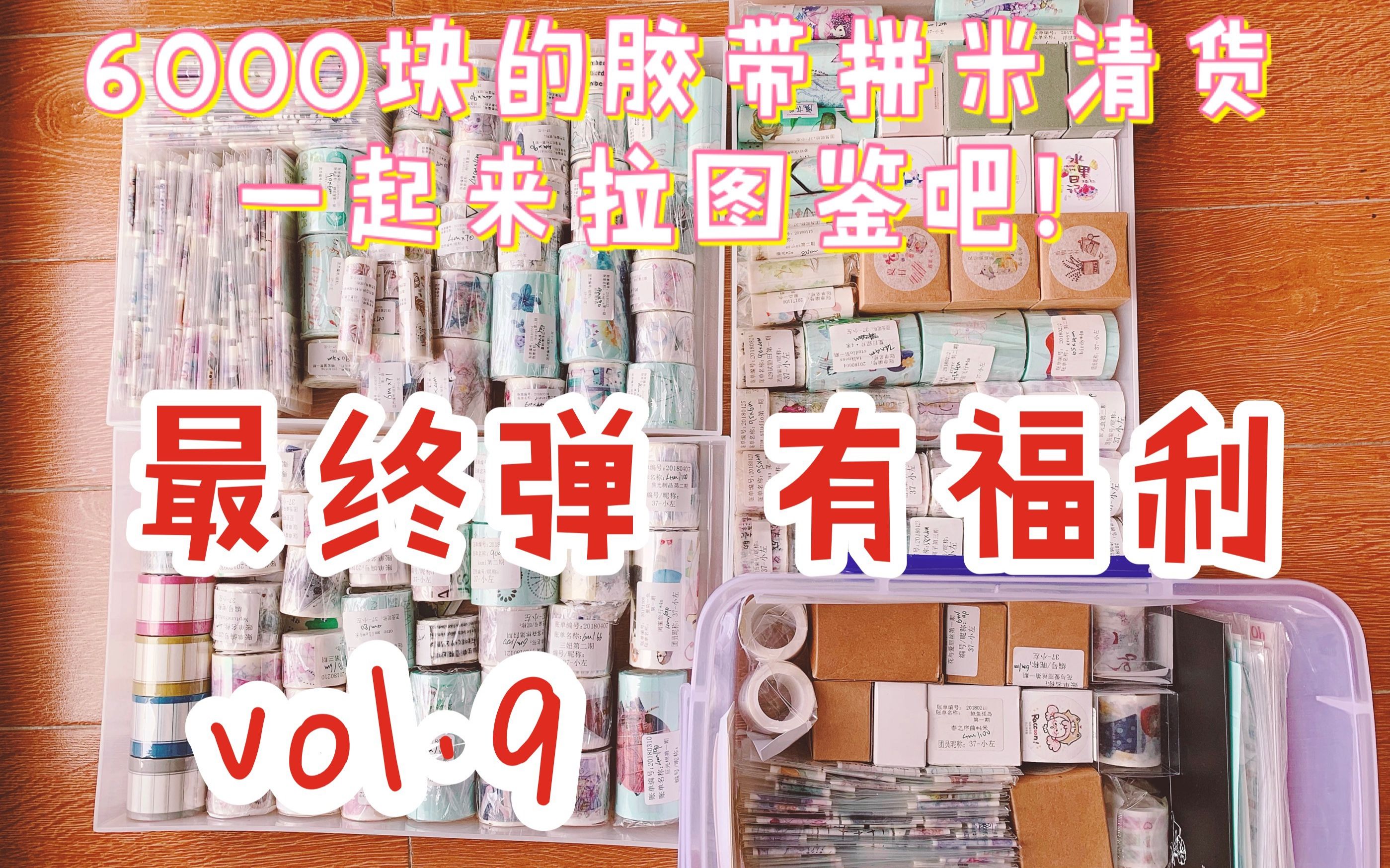 【小左左】【抽奖送浮力啦】6000元的胶带清货!一起拉图鉴吧【vol.9最终弹】哔哩哔哩bilibili