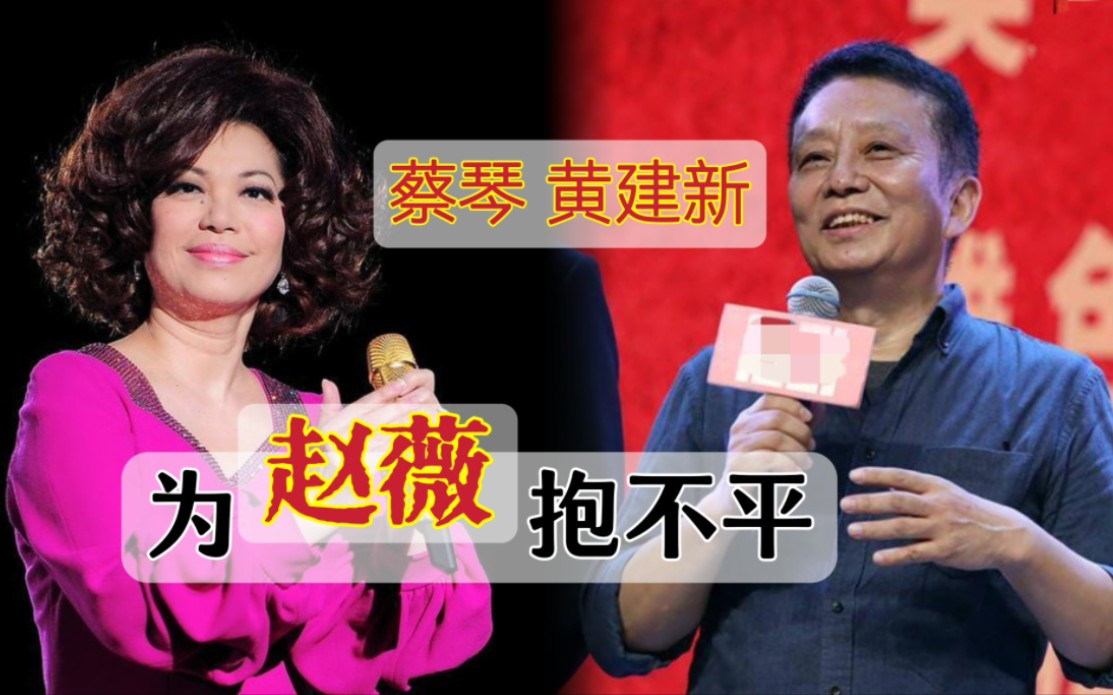 蔡琴为导演赵薇说话,黄建新为赵薇角色抱不平:2013年导演电影协会