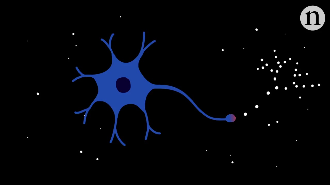 nerverepairregenerationinspinalcordinjury