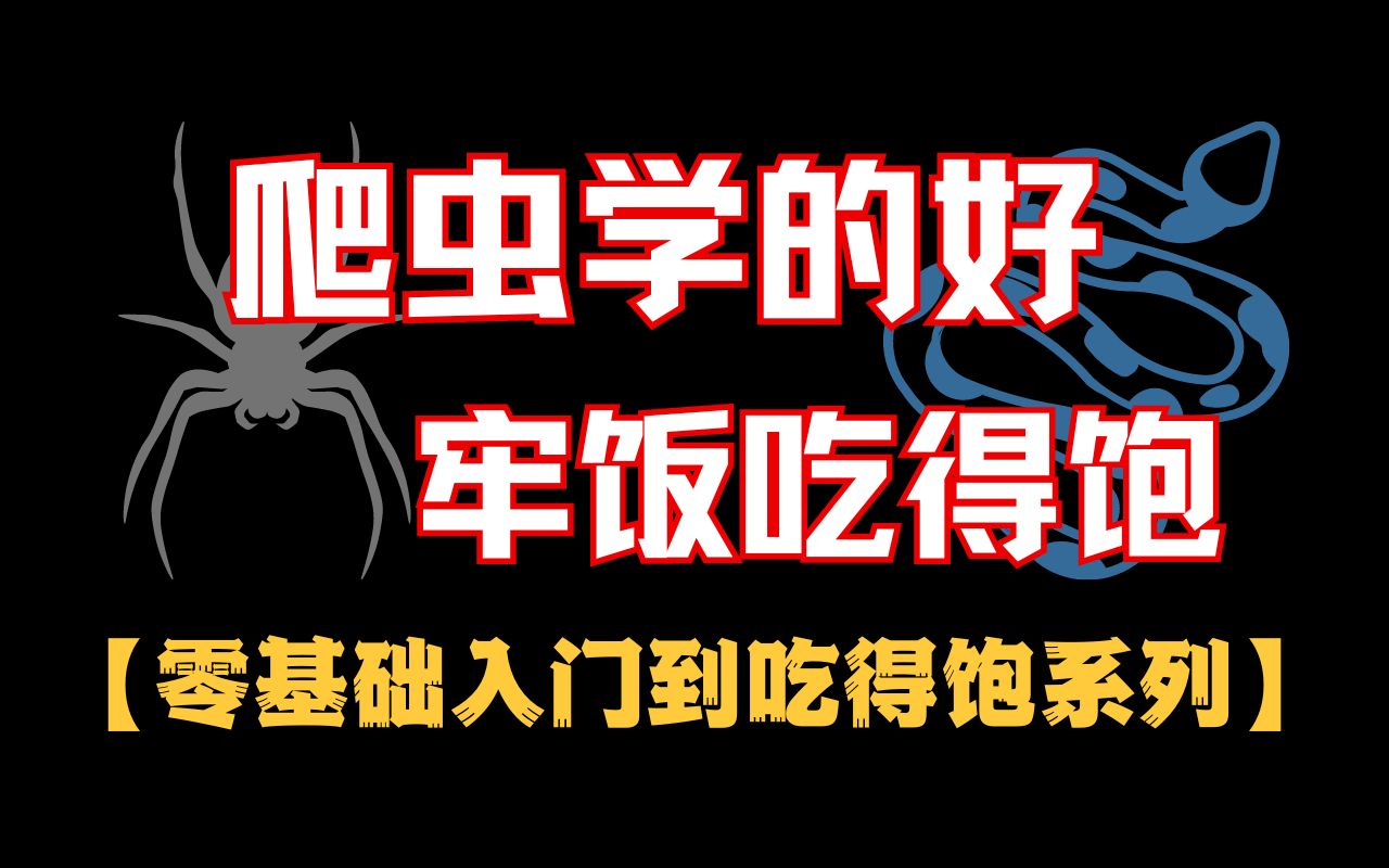 【爬虫基础】2024版Python爬虫零基础入门到吃得饱系列!(持续更新中...)哔哩哔哩bilibili