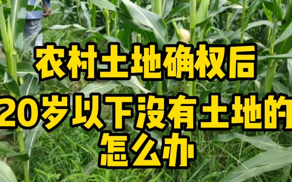 互粉,有关必回!!农民土地确权后,20岁以下没有土地人口怎么办?哔哩哔哩bilibili