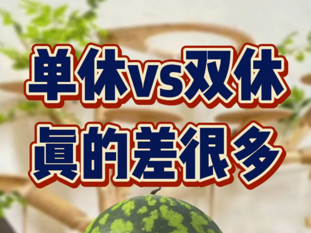 单休vs双休 真的差很多 帮大家算笔账哔哩哔哩bilibili