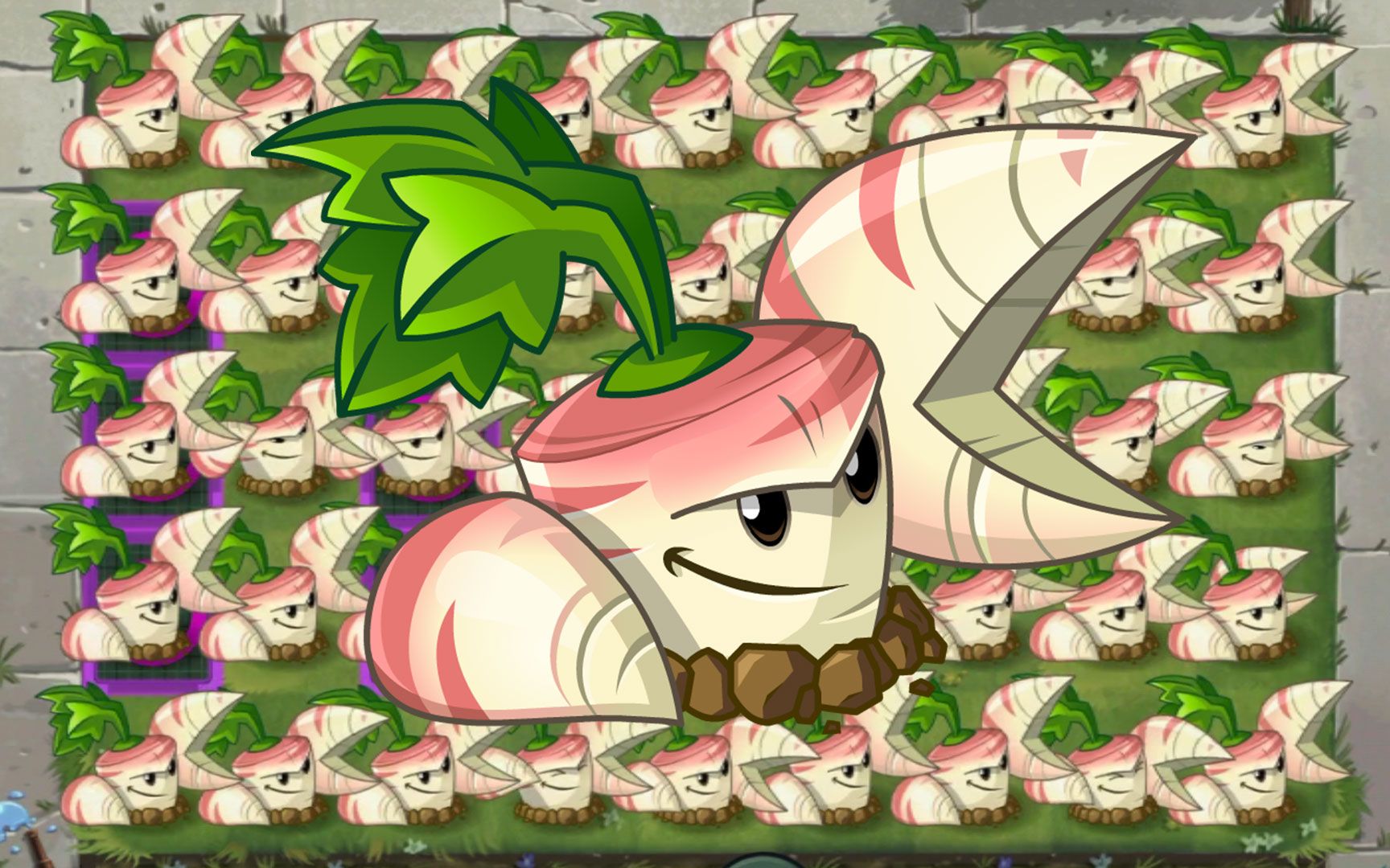 活动  植物大战僵尸:防风草评测,近战是有极限的,所以我不做近战了!