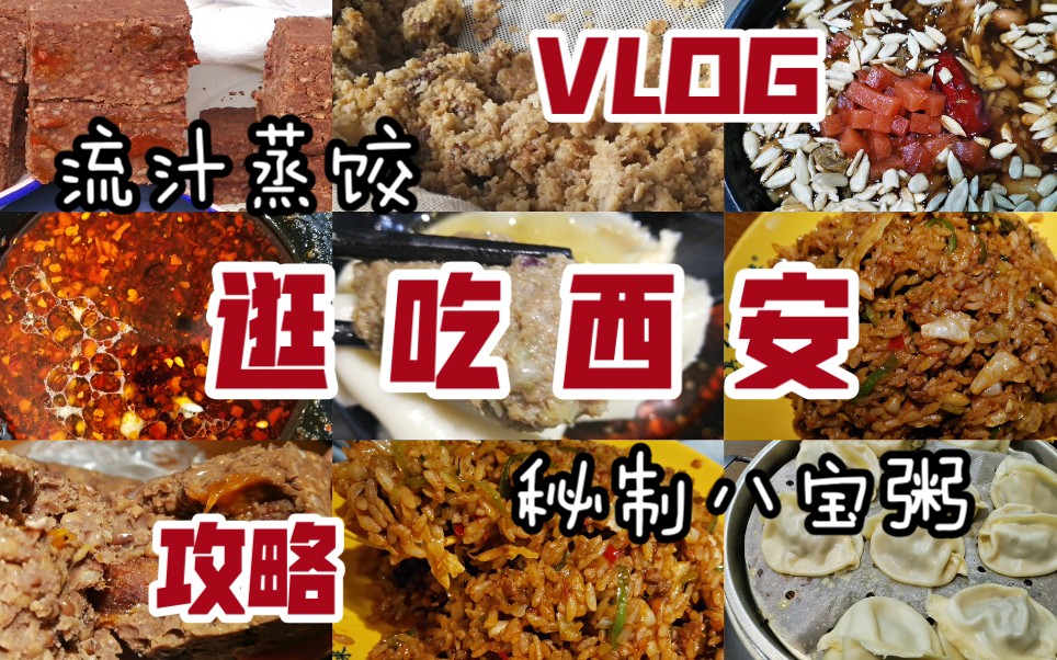 【深巷的美食1】碳水美味势不可挡|回民街攻略|一咬爆汁灌汤蒸饺|料多多八宝粥【逛吃西安】哔哩哔哩bilibili