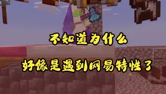 【我的世界】网易：这个是我的操作问题还是bug