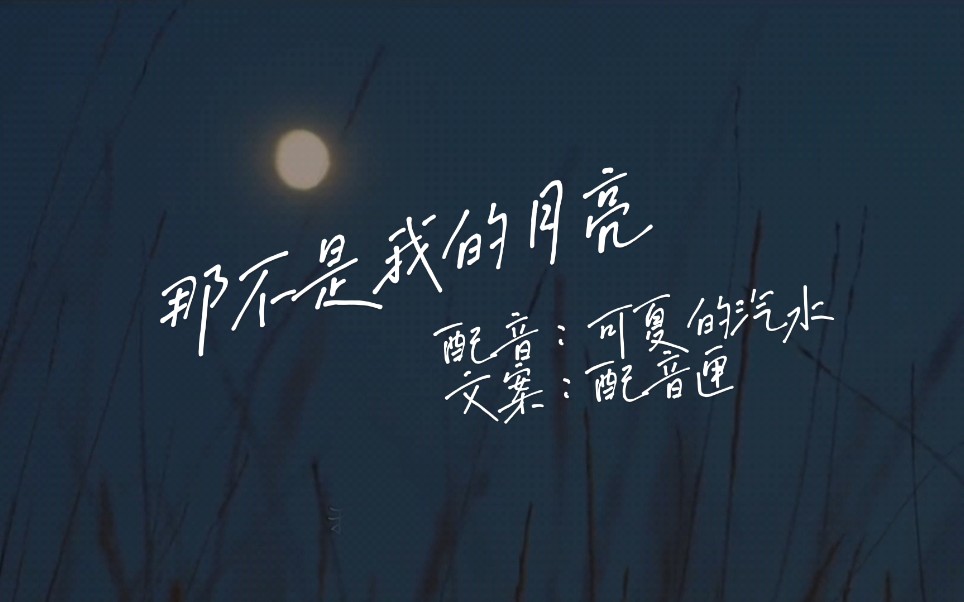 活动作品那不是我的月亮但有一刻月光确实照到了我的身上