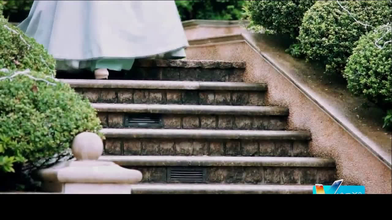 【黄金单身汉】永远的微笑 (星辰 cp) 陈楚河 x 李欣