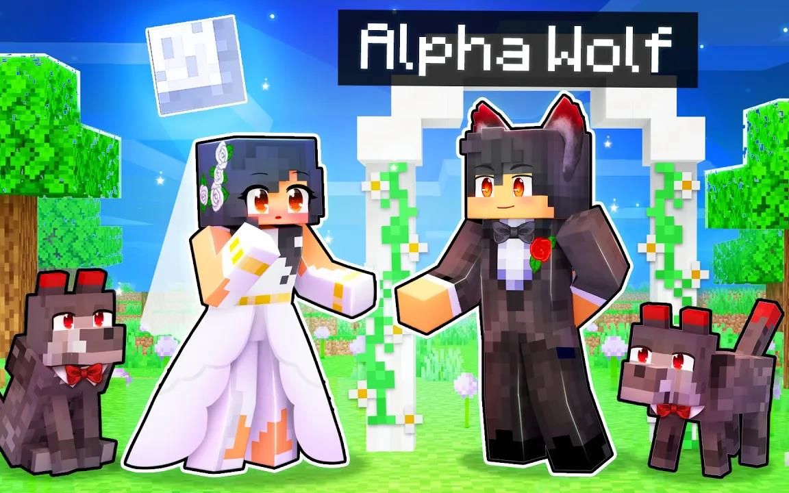 MC我的世界Marrying The ALPHA Wolf In Minecraft!哔哩哔哩bilibili