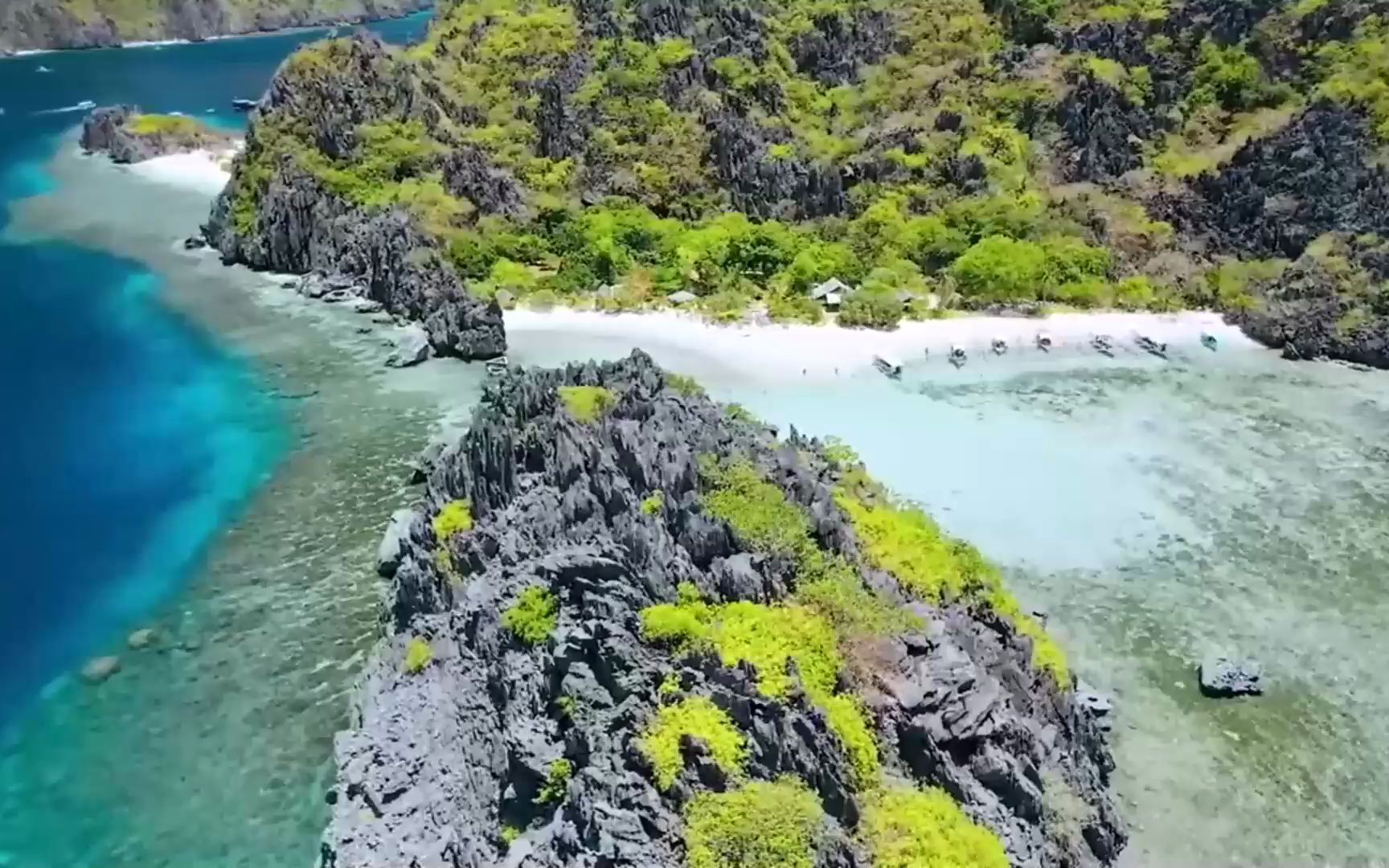 [图]【一小时助眠轻音乐】动心的时候万物复苏 什么都奔向欢喜