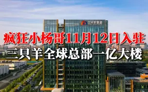 下载视频: 疯狂小杨哥11月12日入驻三只羊全球总部一亿大楼