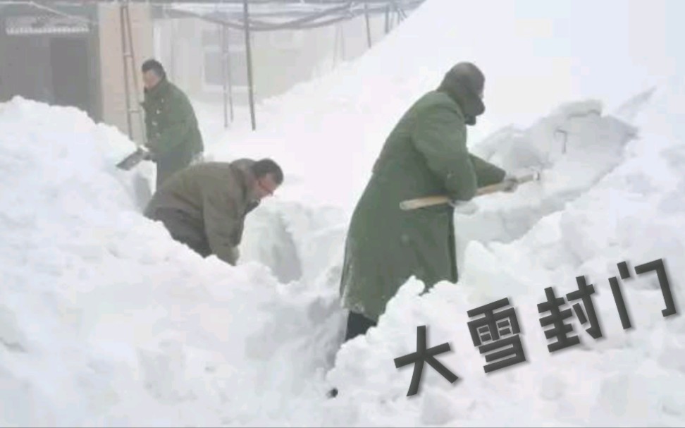 [图]2021年11月8日，一夜之间大雪封门，东北的雪太大了