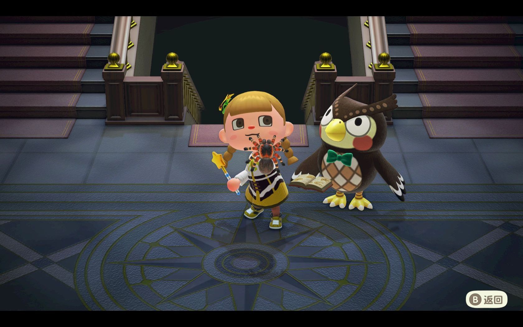 【动物森友会-博物馆】傅达的100种xp系统-07(狼蛛)