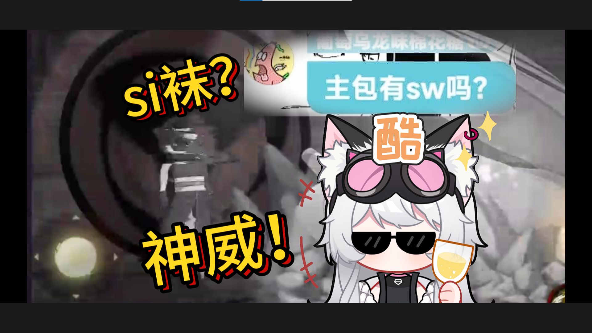 sw是什么?主包有sw吗?猫窝里全是村里人哔哩哔哩bilibili