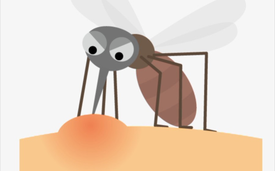 why do mosquito bites itch?