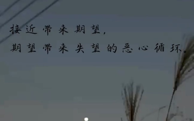 有很多时候没有期待才能开心吧!