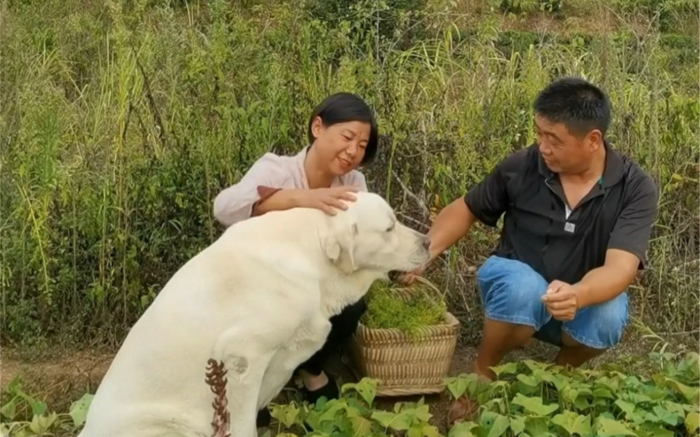 每个地方都有自己独特的美食,贵州油茶更是如此,有句口头禅叫三天不吃油茶走路连摔带爬.哔哩哔哩bilibili