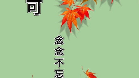 2023年杜姓女宝宝好名字分享!好听独特不重名哔哩哔哩bilibili