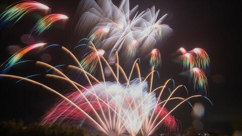 搜索 哔哩哔哩 つロ干杯 Bilibili