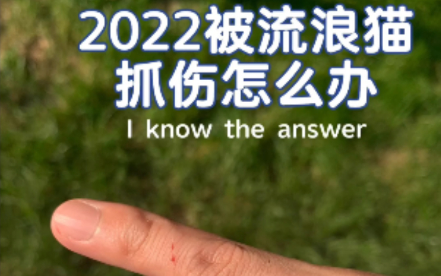 2022 被流浪猫抓伤 出血应该怎么办(本人经历分享、狂犬疫苗)哔哩哔哩bilibili