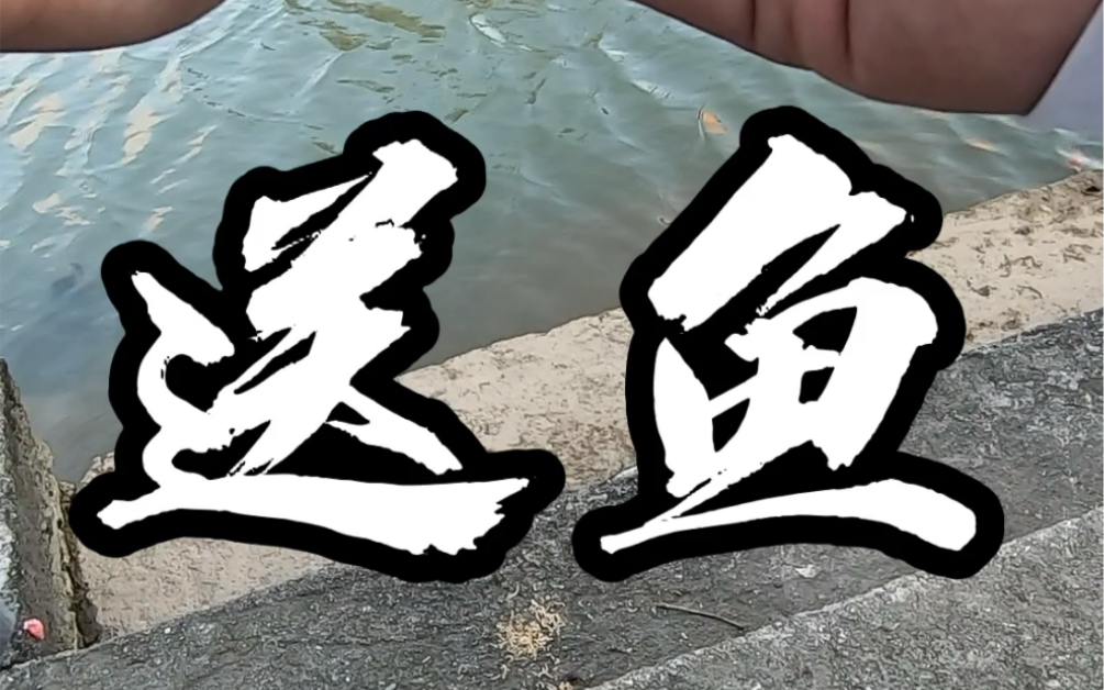 送鱼