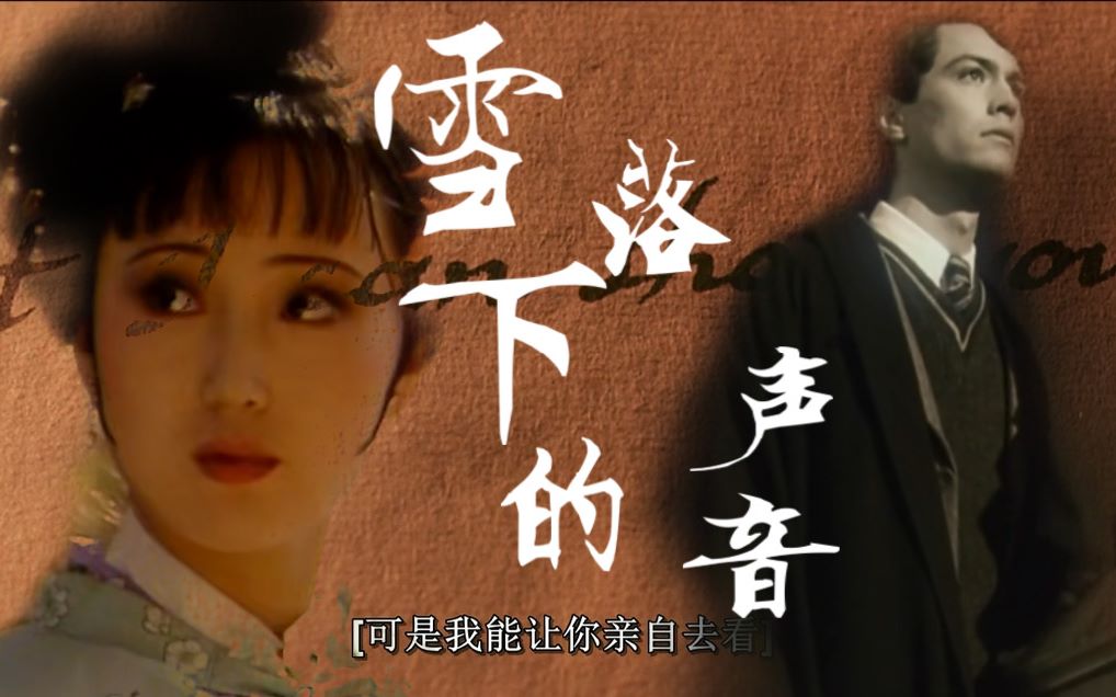 【伏黛|汤姆·里德尔x林黛玉 】听雪落下的声音,是我跨越两百年岁月爱