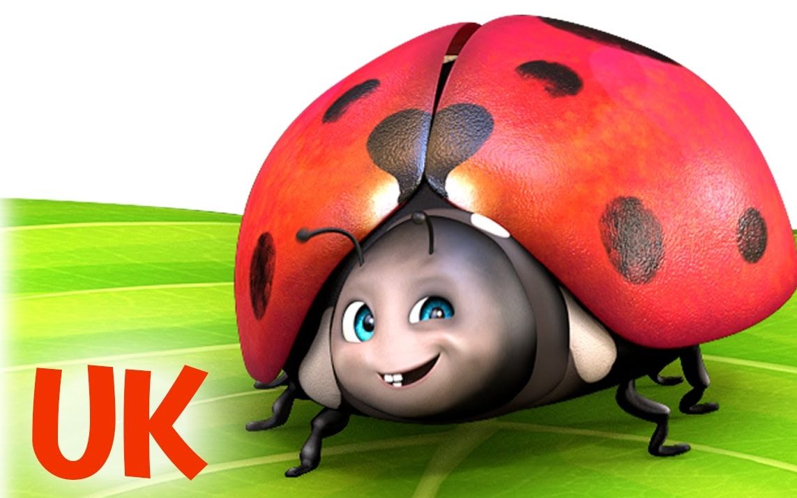 ◤英文动画歌谣◥五个小瓢虫fivelittleladybirdstheukversion