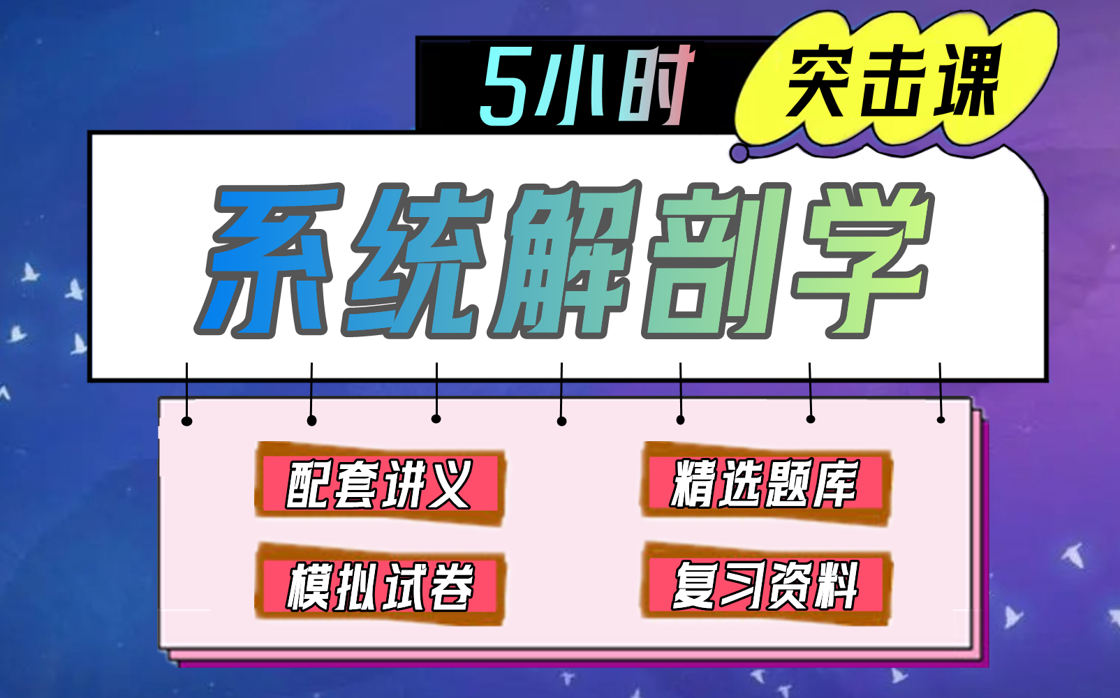 [图]《系统解剖学》5小时速成课【不挂科】（适用于期末考试、期中考试、补考、重修考试）