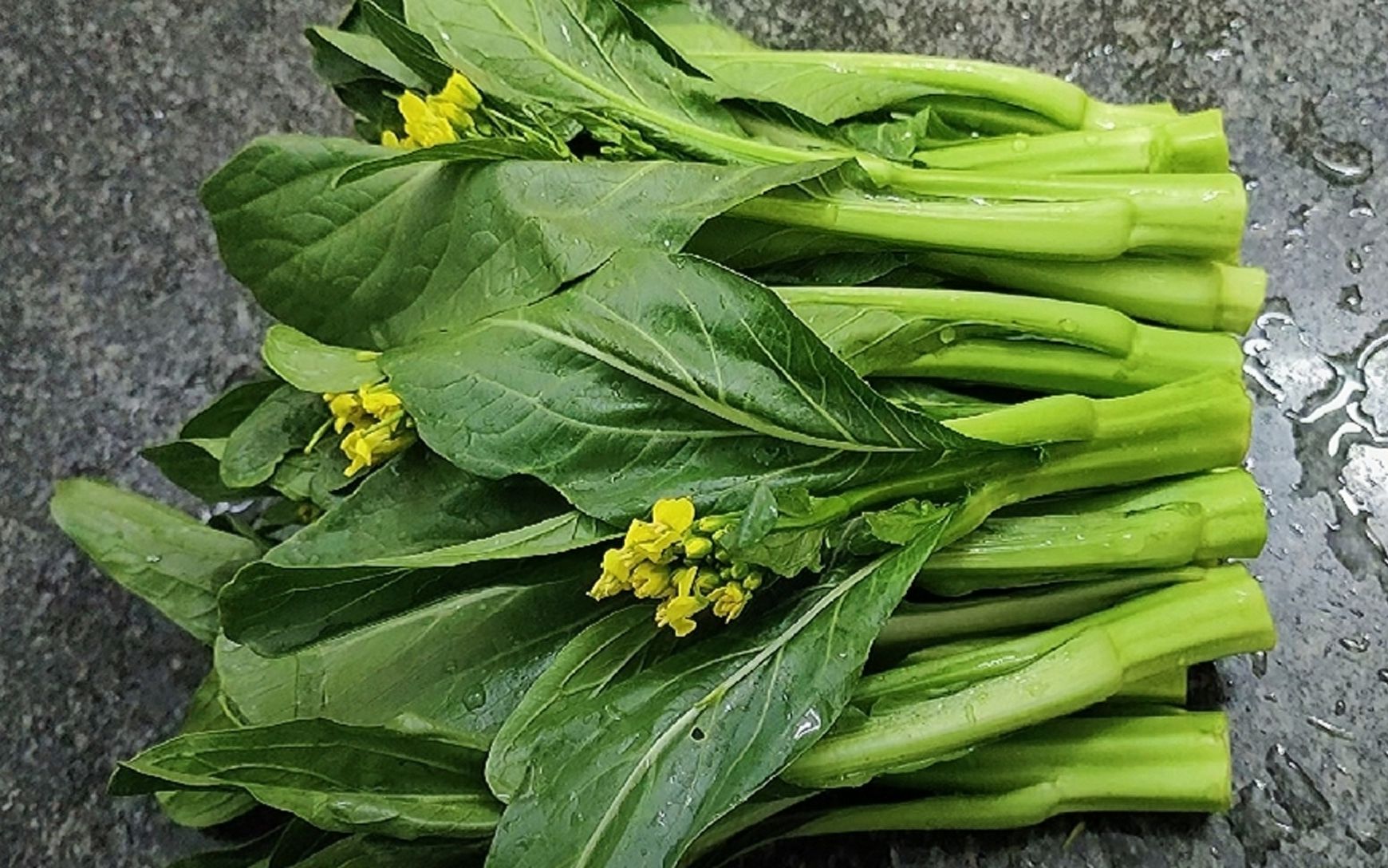 5块钱一斤广东菜心,五星级饭店厨师教你翠绿不发黑的做法,香