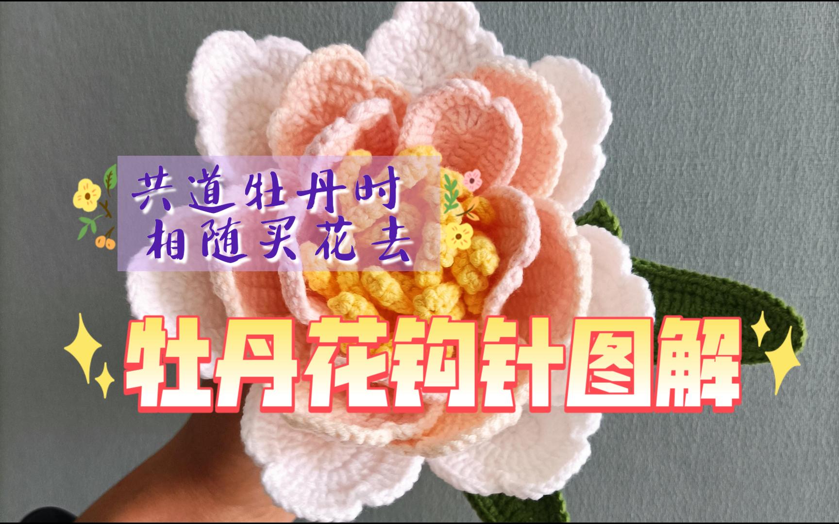 从此不用买花了!牡丹钩针作品钩针图解哔哩哔哩bilibili