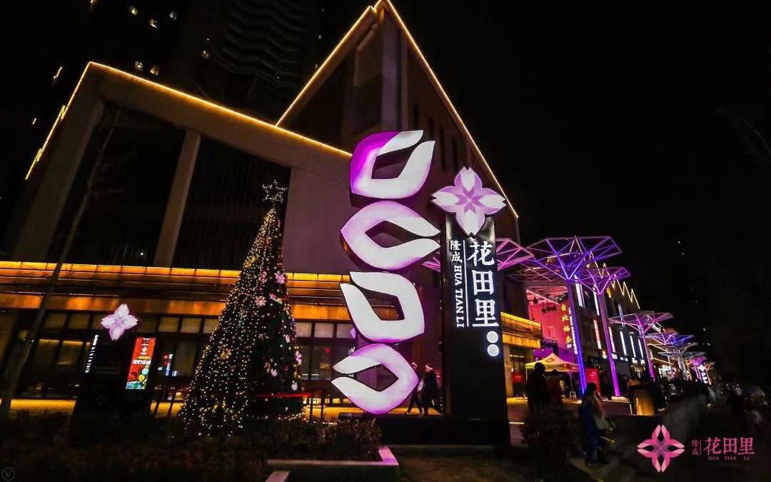 塑美创佳争优西安市迎十四运最美商业街隆成花田里