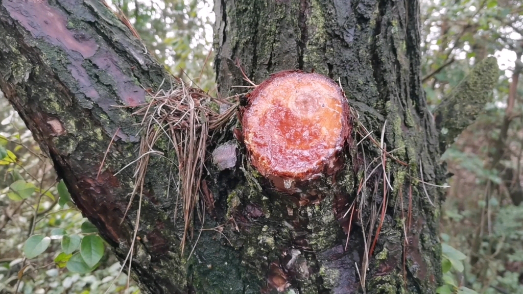 [图]荒山探秘